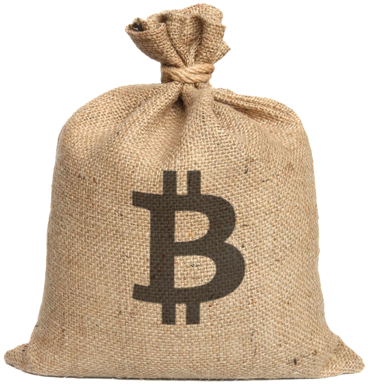 bitcoin bag